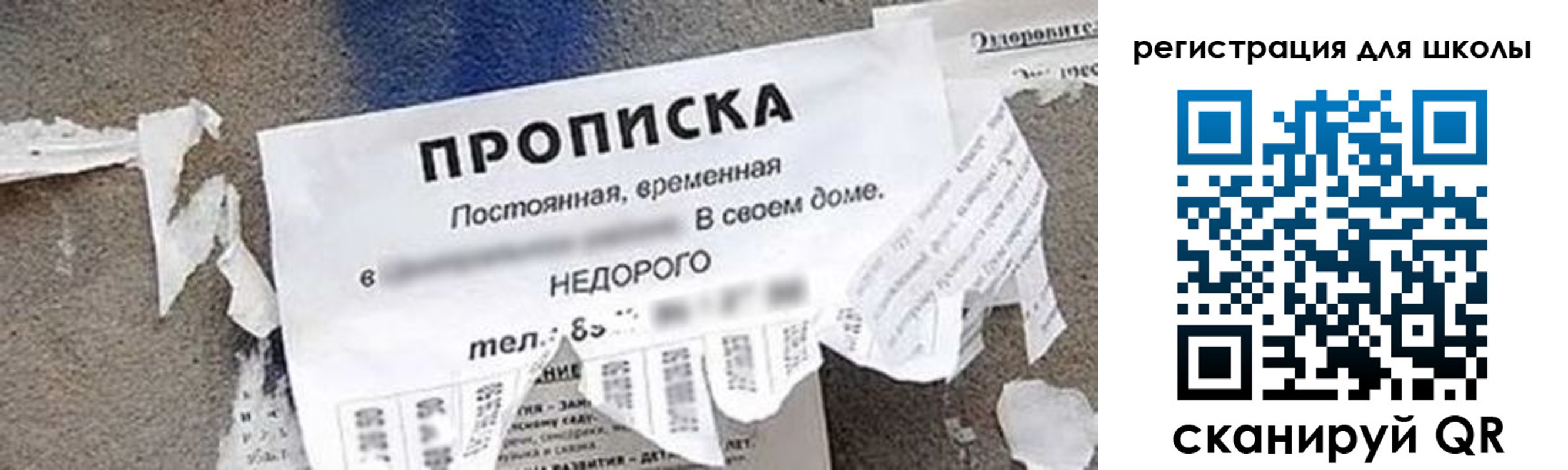 временная регистрация поиск в Коле