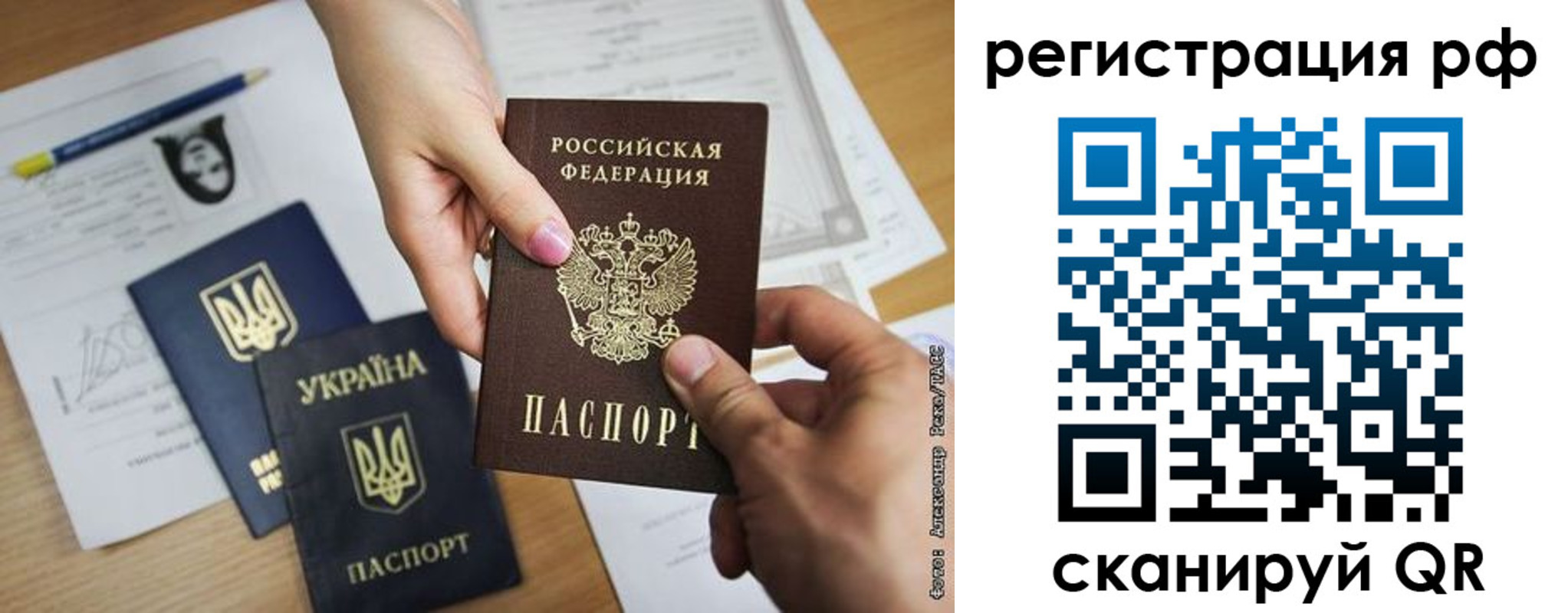прописка 2025 в Коле